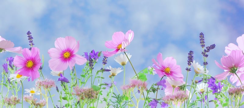 Fantasy flora