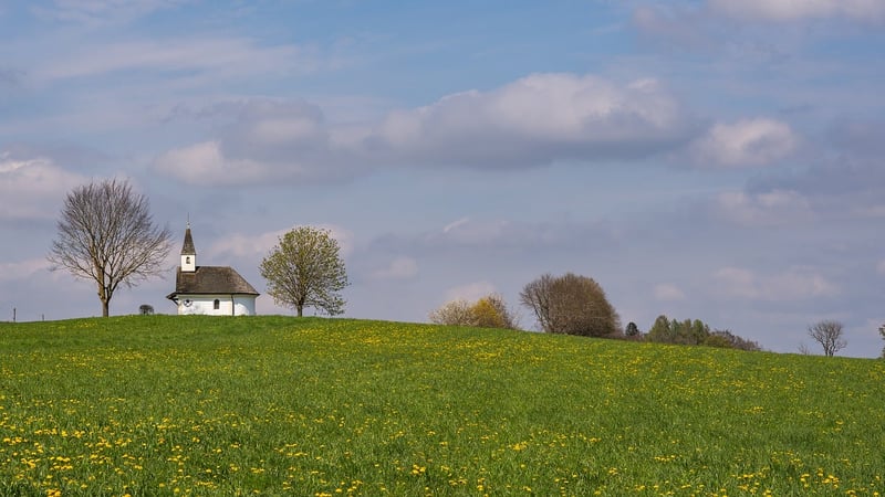 Magic meadows